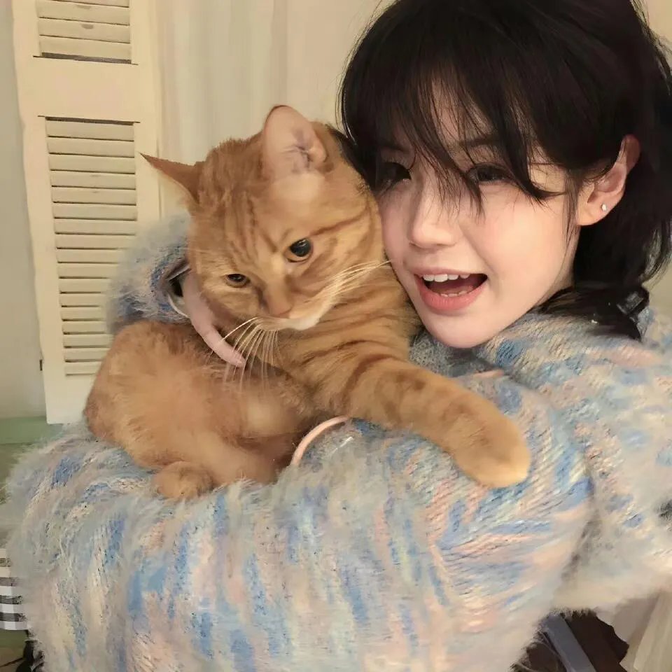 历先生宠妻无限